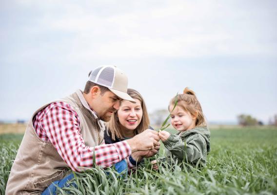 Two adults and one child kneeling in field looking at crop