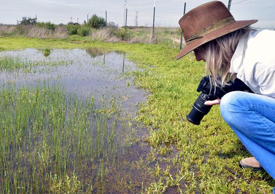 Person taking a photo in a wetland