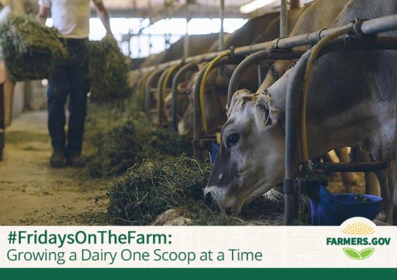Growing a Dairy One Scoop at a Time