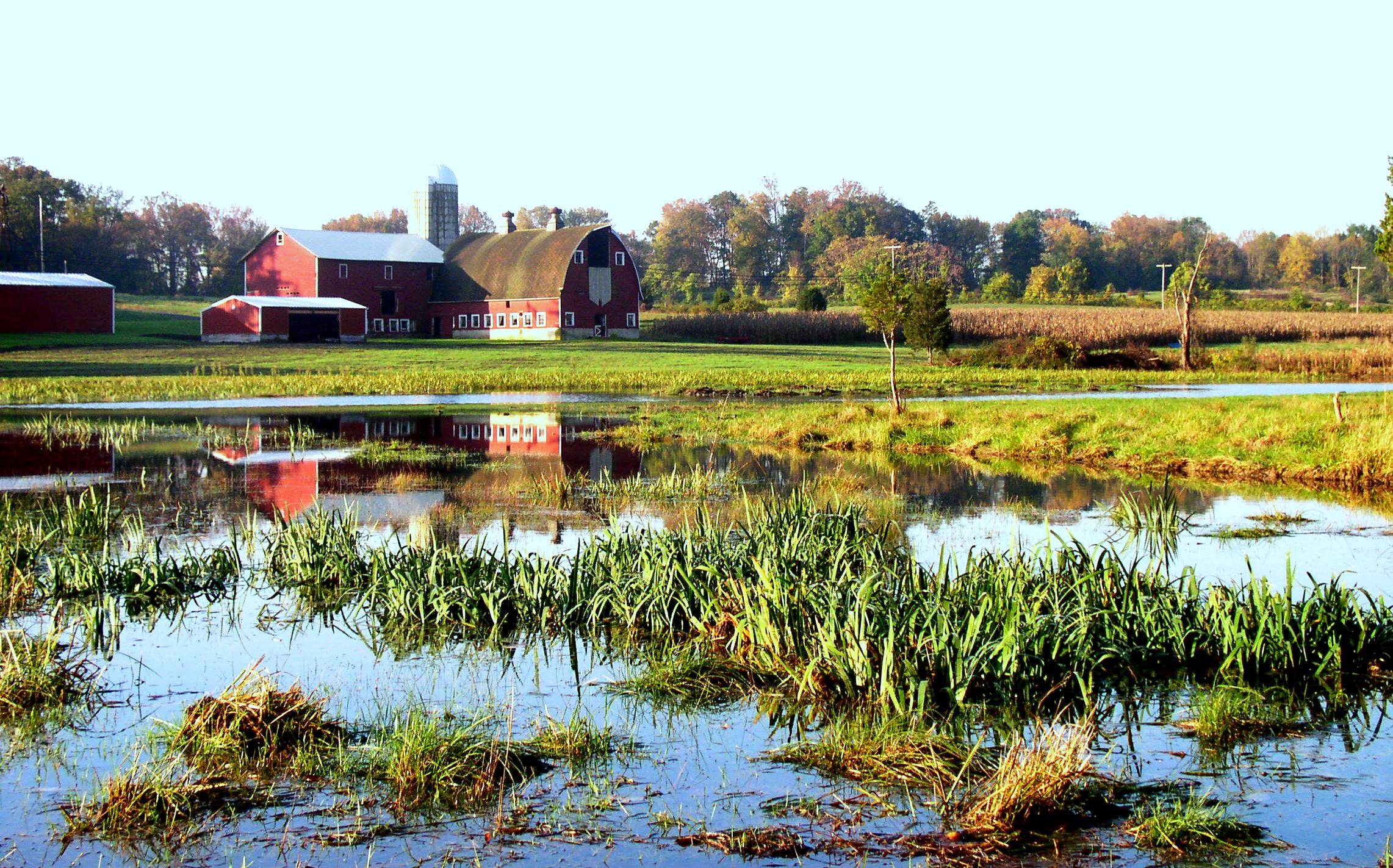 Are Wetland Easements Right for You?